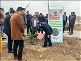 آغاز فاز دوم نهال‌کاری در بوستان مرتضی‌گرد بخش آفتاب