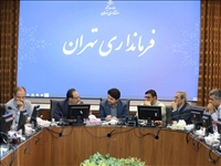 بررسی روند اجرای پروژه بزرگراه شهید شوشتری در محدوده بافت روستای مسگرآباد