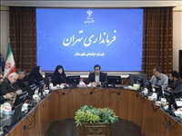 لزوم تدوین برنامه‌های جامع برای ارتقای کیفیت زندگی سالمندان در تهران