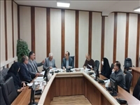 نشست کارگروه آرد و نان شهرستان تهران برگزار شد