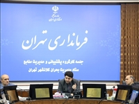 ضرورت راه‌اندازی سامانه برخط مدیریت منابع بحران در کلانشهر تهران