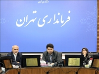 تاکید معاون عمرانی فرمانداری تهران بر ضرورت تعیین‌تکلیف اراضی همه‌سین