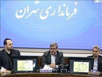 هم‌افزایی دستگاه‌ها و مشارکت مردمی، محور کاهش سرقت در پایتخت
