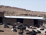در راستای نظارت بر اجرای تبصره 3 ماده 4 آیین نامه اجرایی قانون اصلاح ماده 33