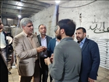 ساماندهی کارگاه های تولیدی و صنعتی روستای پلائین بخش آفتاب