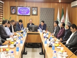 روشنایی معابر شهرک دانشگاه تهران با فوریت ساماندهی شود