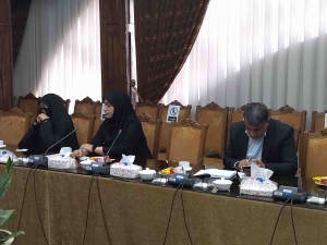 جلسه کمیسیون ساماندهی امور اتباع