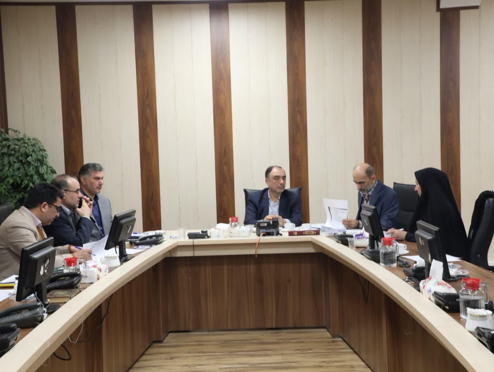 بررسی روند اجرای طرح دوگانه‌سوز کردن نانوایی‌ها در کارگروه آرد و نان شهرستان تهران